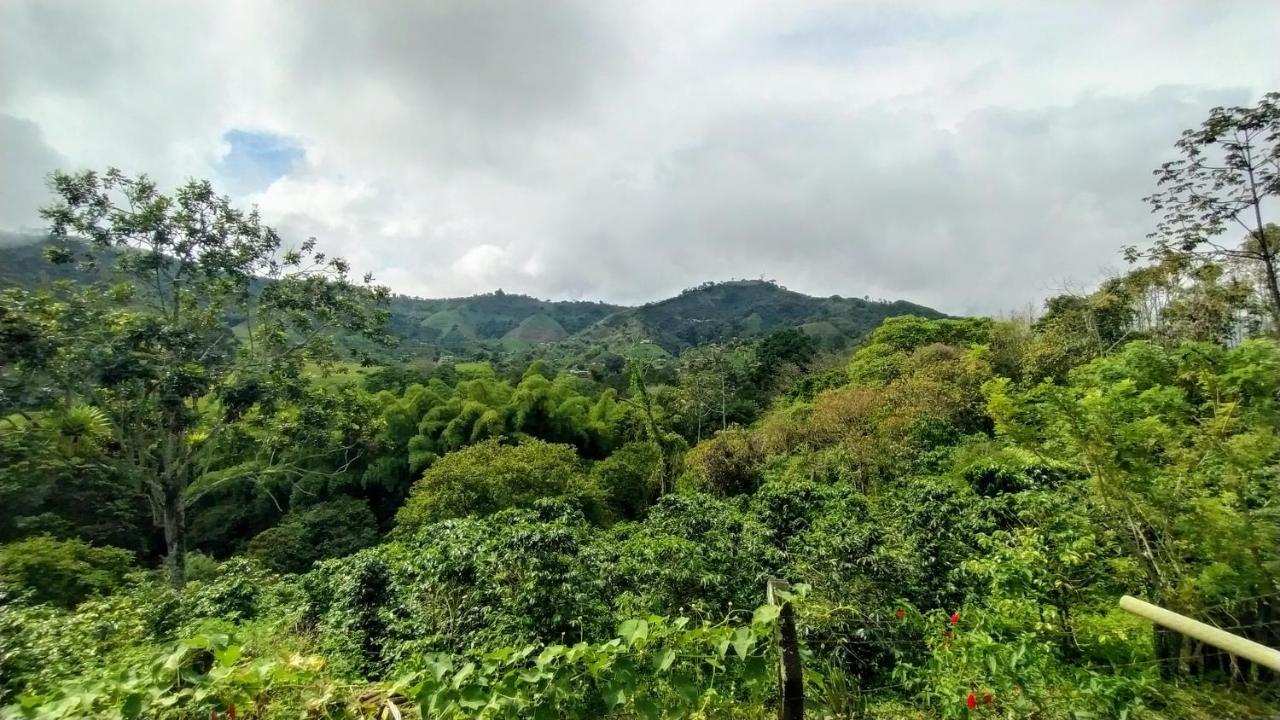 La Acuarela, Posada De La Monita Pereira Kültér fotó
