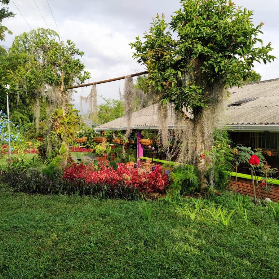 La Acuarela, Posada De La Monita Pereira Kültér fotó